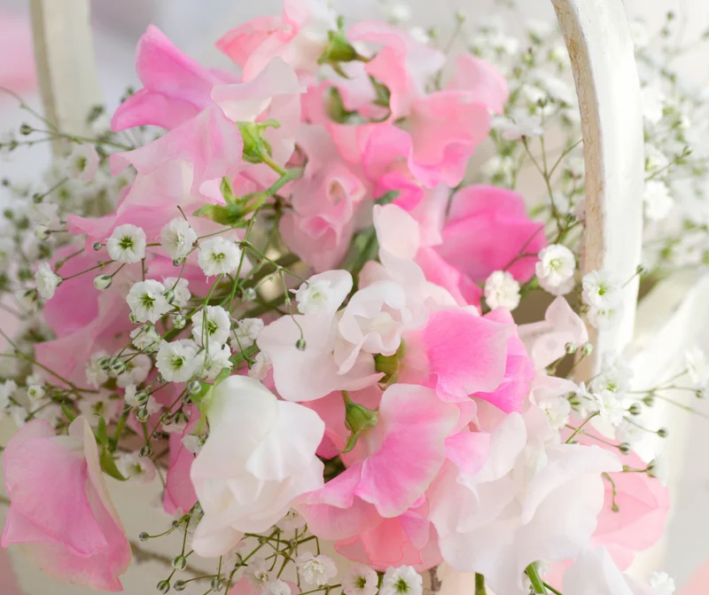 お花 (4)
